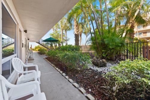 Hotel Caribbean Beach Club
