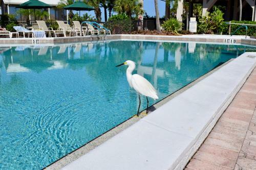 Hotel Caribbean Beach Club