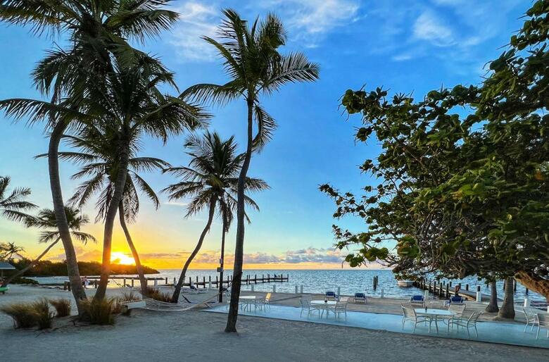 Hotel Pines & Palms Resort
