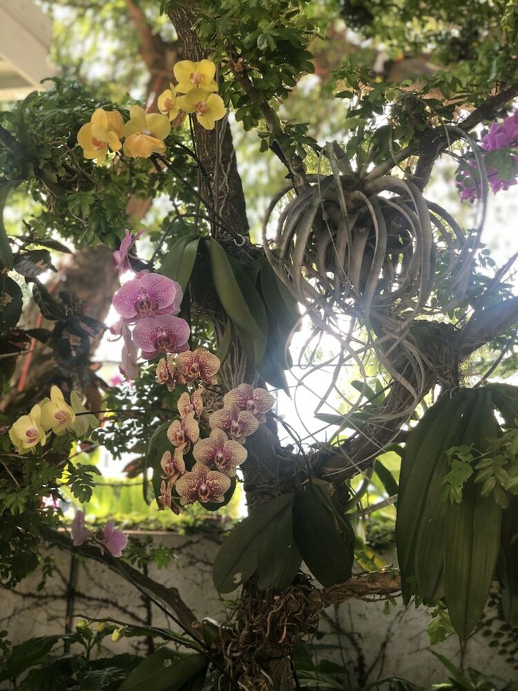 Posada Orchid Key Inn