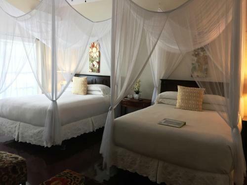 Avalon Bed And Breakfast