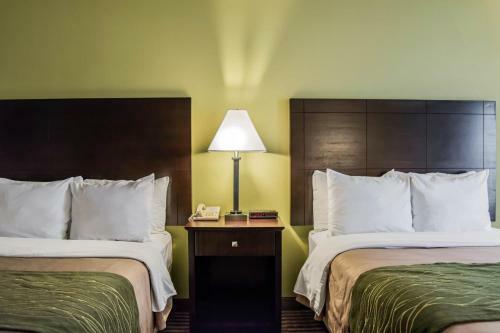 Hotel Comfort Inn & Suites Clearwater Pinellas Park
