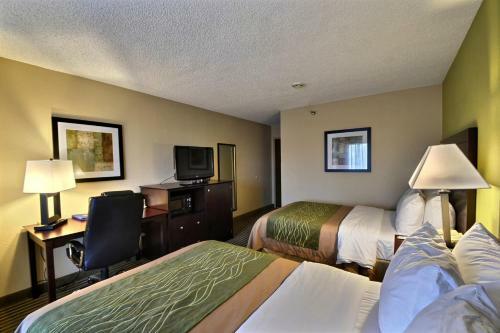 Hotel Comfort Inn & Suites Clearwater Pinellas Park