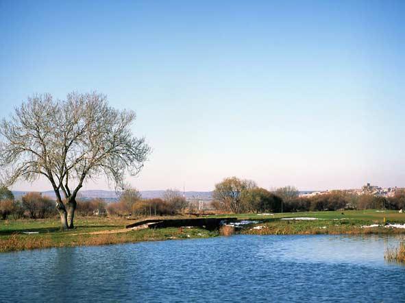 Hotel Vettonia