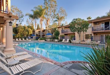 Hotel Dolphins Cove Resort