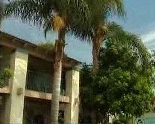 Hotel Dolphins Cove Resort