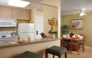 Hotel Dolphins Cove Resort