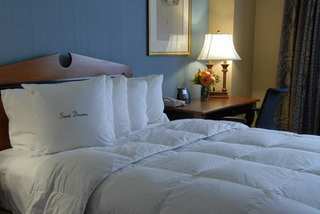 Inn At The Colonnade Baltimore A Doubletree Hotel