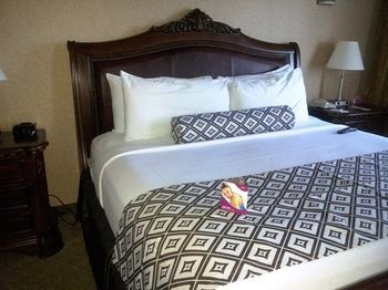 Hotel Crowne Plaza Houston-reliant Park