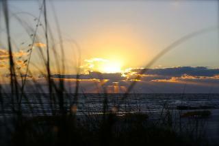 Hotel Shoreline Island Resort - Exclusively Adult