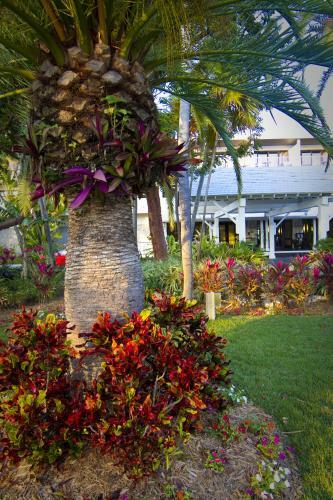 Hotel Hawks Cay Resort