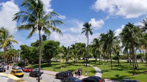 Apartamento One Bedroom Ocean Drive Suite