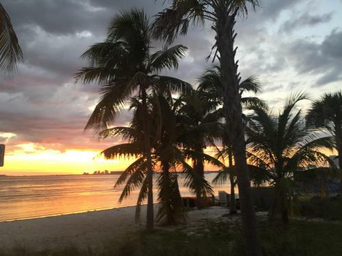 Apartamento Playa De Oro