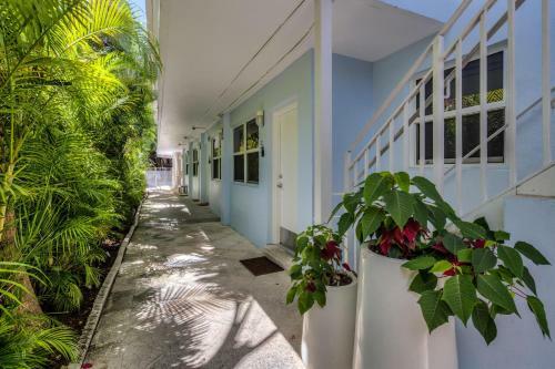 Apartamento Playa De Oro