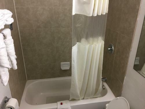 Hotel Days Inn Ocala