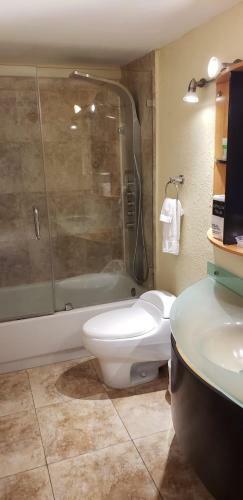 Castle Beach Club Apartments