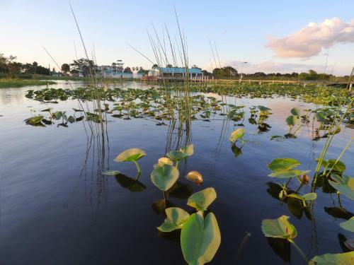 Hotel Days Inn & Suites By Wyndham Lake Okeechobee
