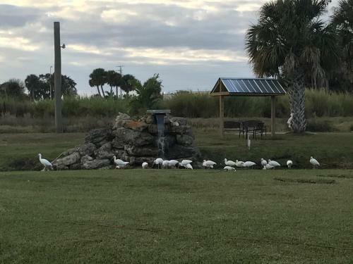 Hotel Days Inn & Suites By Wyndham Lake Okeechobee