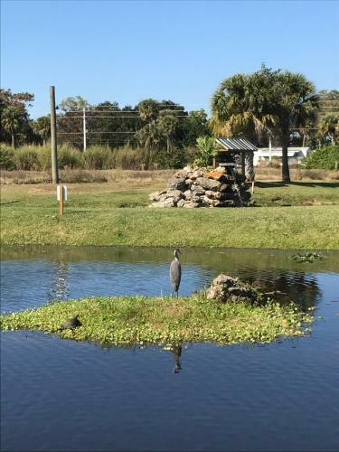 Hotel Days Inn & Suites By Wyndham Lake Okeechobee