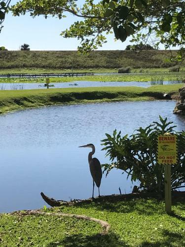 Hotel Days Inn & Suites By Wyndham Lake Okeechobee