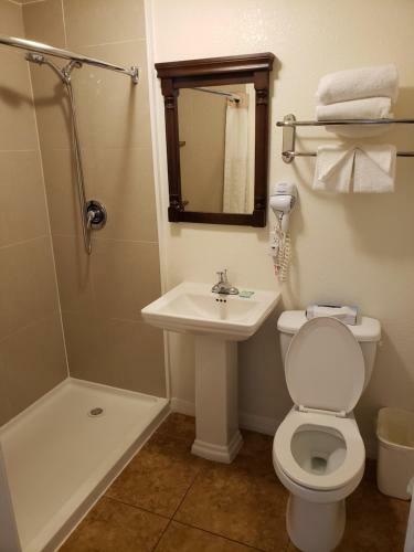 Motel Oceanfront Inn And Suites - Ormond