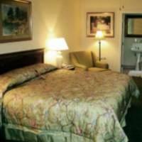Willows Hotel