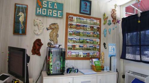 Aparthotel Seahorse Motel