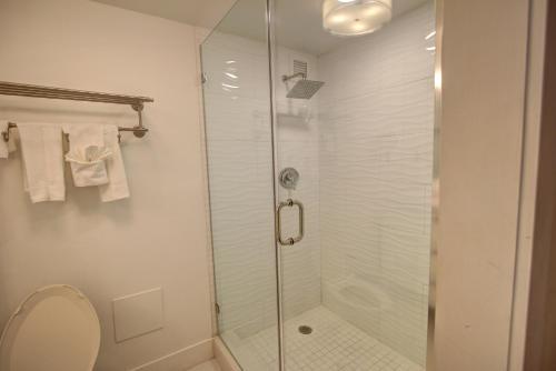 Deluxe Studios And Apartments At The Shelborne