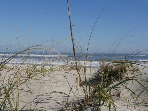 Hotel Ocean Sands Beach Inn - Saint Augustine
