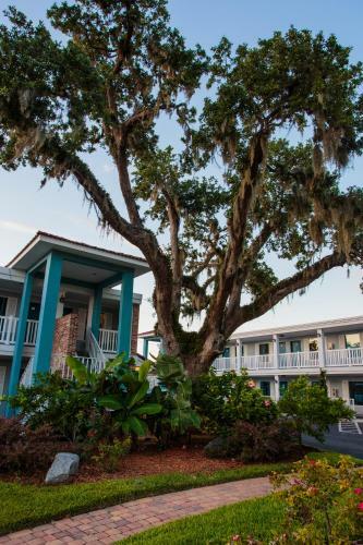 Motel Southern Oaks Inn - Saint Augustine