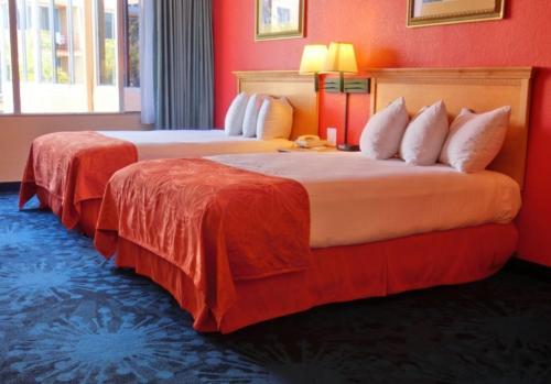 Hotel Dolphin Beach Resort