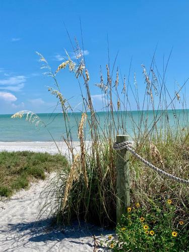 Hotel Beachview Cottages