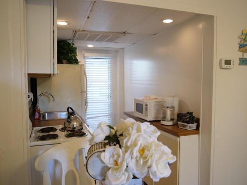 Hotel Siesta Key Bungalows
