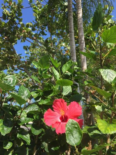 Hotel South Beach Place - Vero Beach