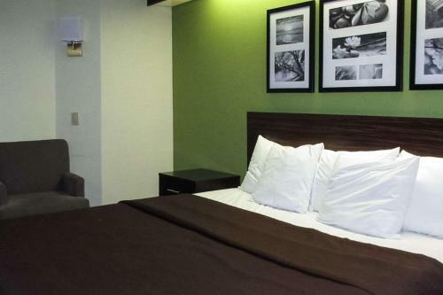 Hotel Sleep Inn Albany