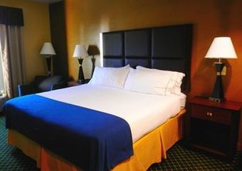Holiday Inn Express Hotel & Suites Hinesville