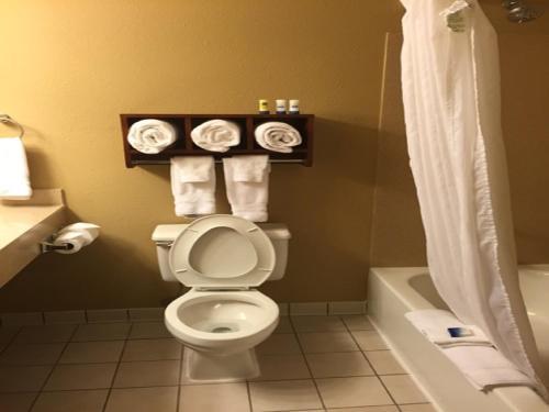 Motel Best Western Plus Lake Lanier Gainesville Hotel & Suites