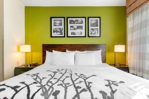 Hotel Sleep Inn I-95 North Savannah