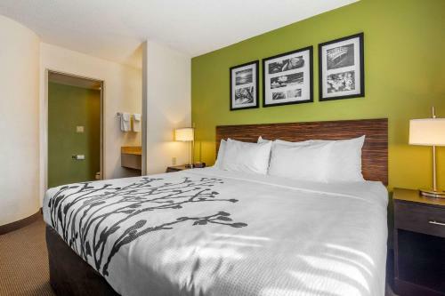 Hotel Sleep Inn I-95 North Savannah