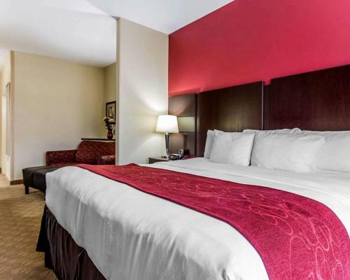 Hotel Comfort Suites Stockbridge