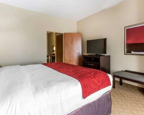 Hotel Comfort Suites Stockbridge
