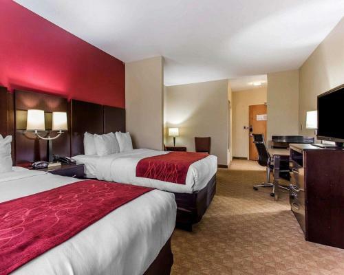 Hotel Comfort Suites Stockbridge