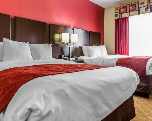 Hotel Comfort Suites Stockbridge