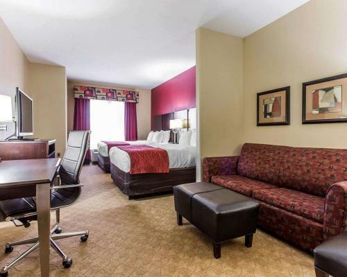 Hotel Comfort Suites Stockbridge