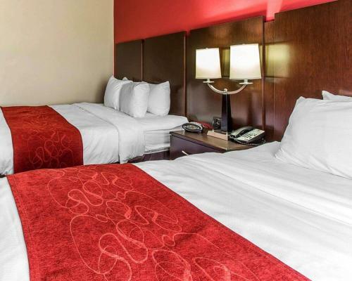 Hotel Comfort Suites Stockbridge