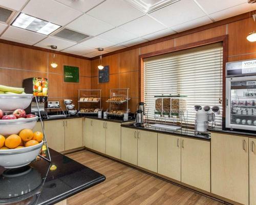 Hotel Comfort Suites Stockbridge