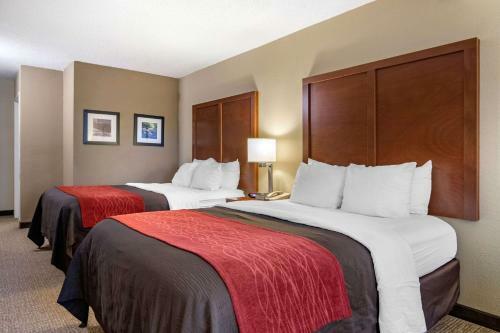 Hotel Comfort Inn And Suites