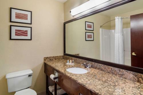 Hotel Comfort Inn And Suites