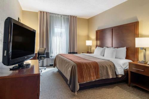 Hotel Comfort Inn And Suites
