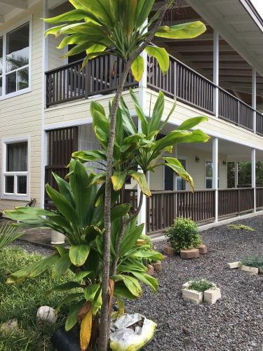 Agroturismo Coco-nut Hale